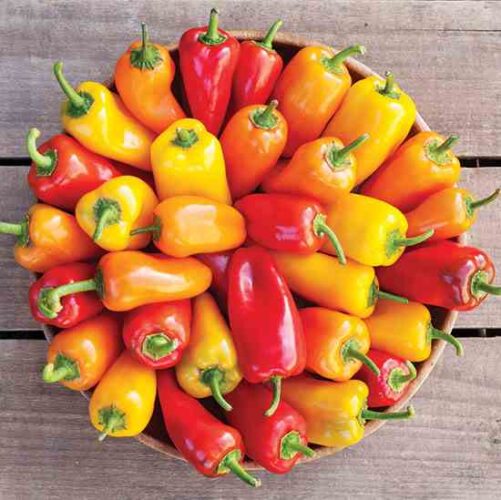Organic Seed Cultivars to Try This Year
